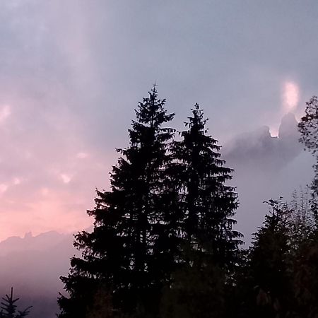 Appartamento Niki Campitello Campitello di Fassa Exteriér fotografie