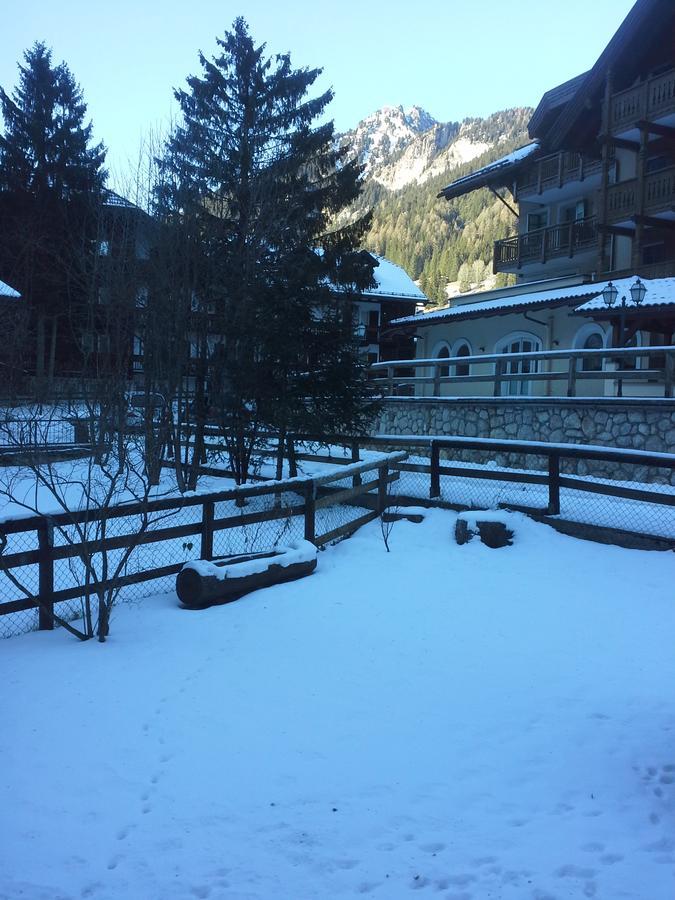 Appartamento Niki Campitello Campitello di Fassa Exteriér fotografie